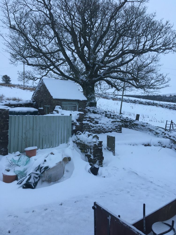 Snowy driveway and field in March 2023