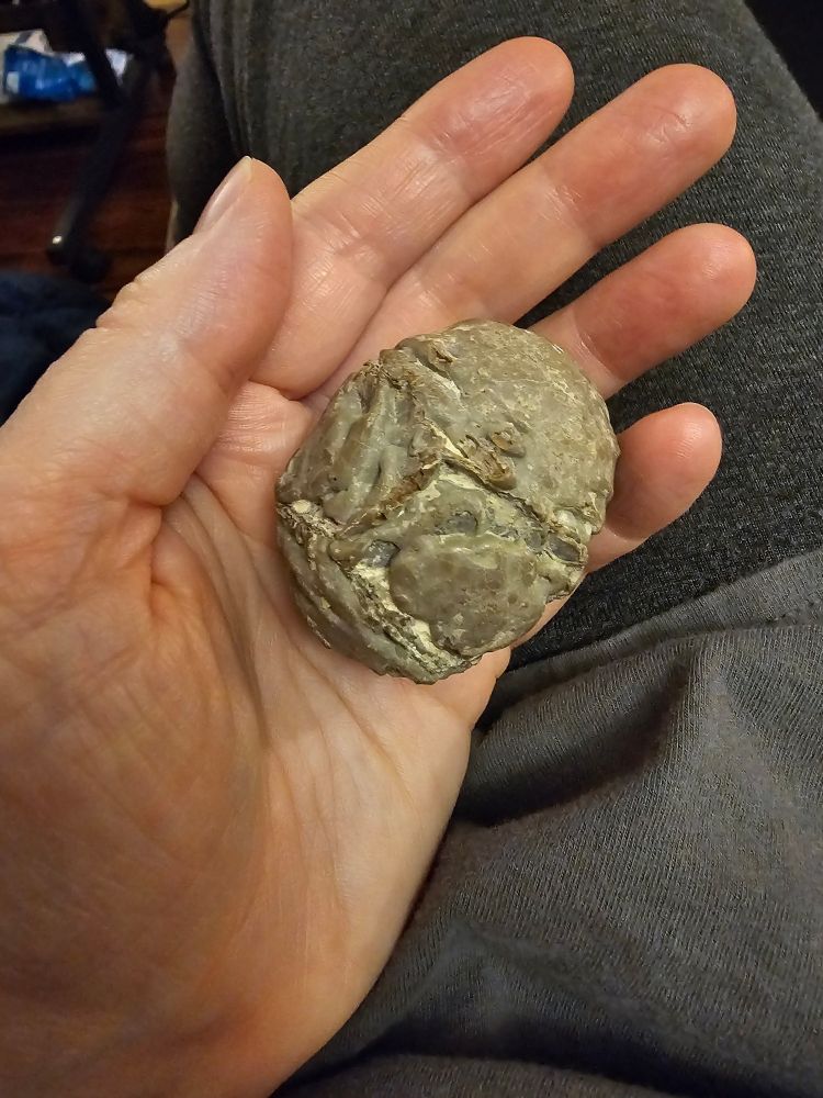 My hand from an extremely unflattering angle holding a lumpy bumpy ugly thunderegg that might be pretty inside but we'll never find out lol