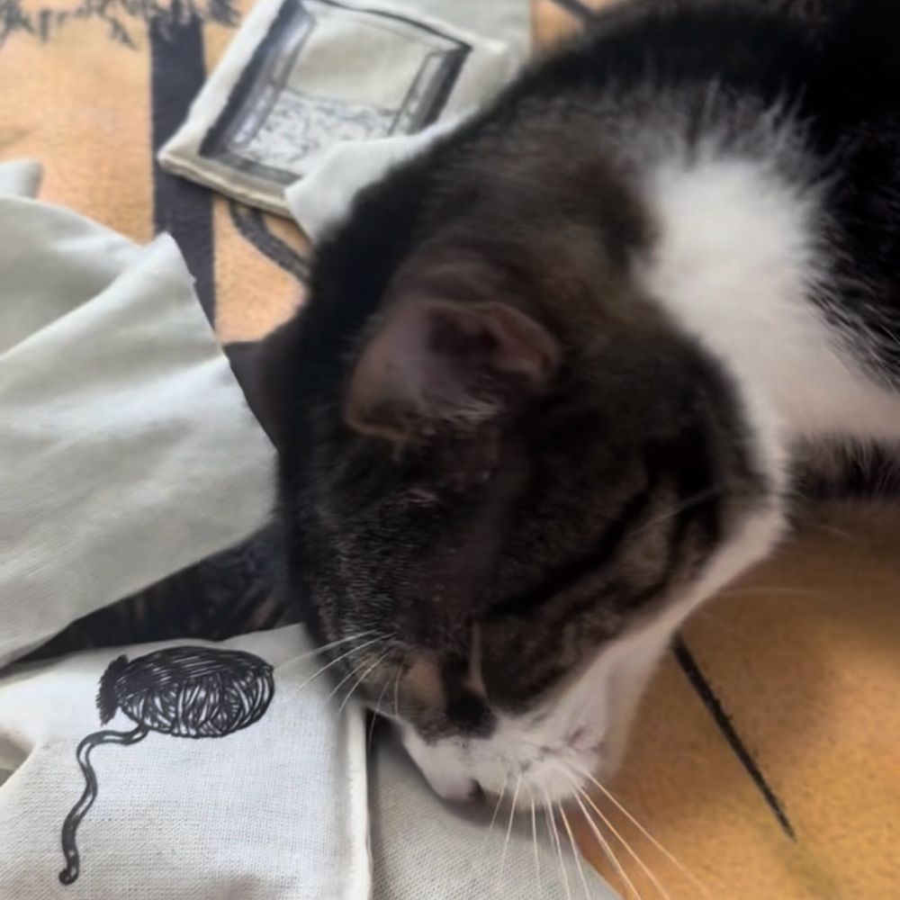 A cat rubbing their face on a pile of cat toys