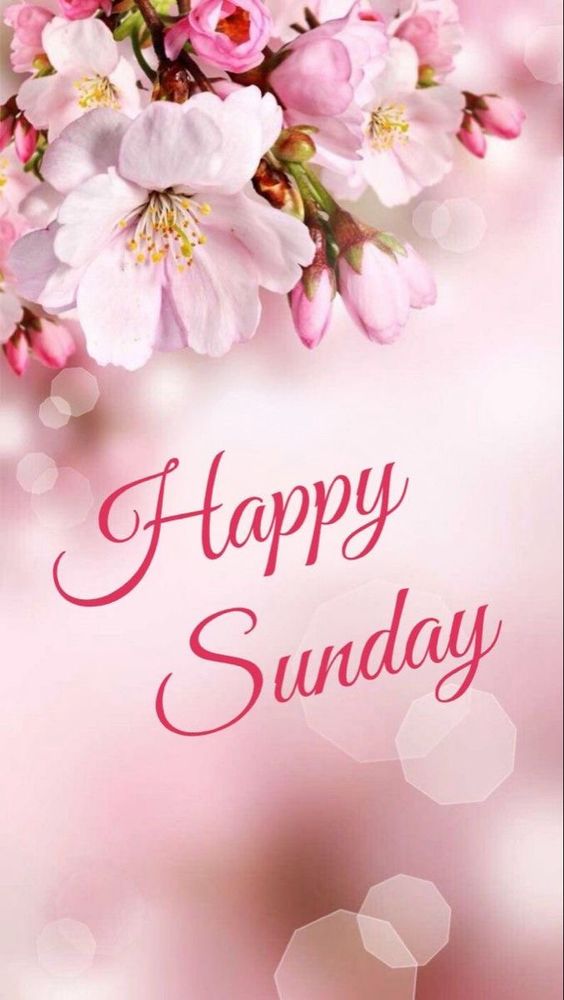 Happy Sunday Pink flowers