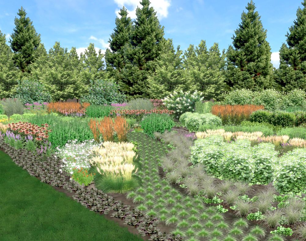 Digital rendering of a large conservation planting design. View is looking down a sedge "river" winding into the rain garden space, flow directed by berms w/ boulders covered with blocks of plantings that create a rhythm through the space. Ribbons of native plants densely vegetate this 300' x 40' area designed by the author with the intention of slowing the infiltration and temporary holding of stormwater runoff from the adjacent road, building, parking lot, and turf.