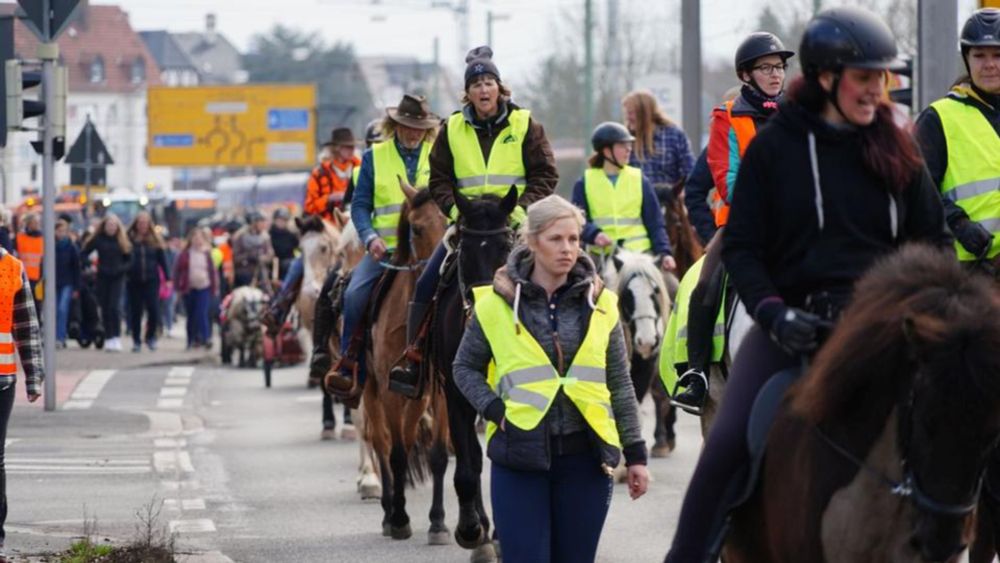 Protest gegen steigende Kosten: 60 Pferde bei Demo in Kasseler Innenstadt