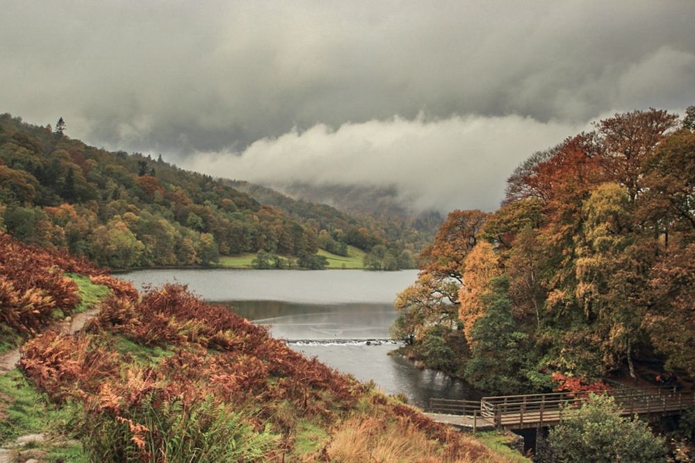 looking towards Grasmere lake in the Lake District. Foreground, a bridge crossing the river. trees either side with bracken too showing autumn colours. Mist hangs over the far side of the lake.