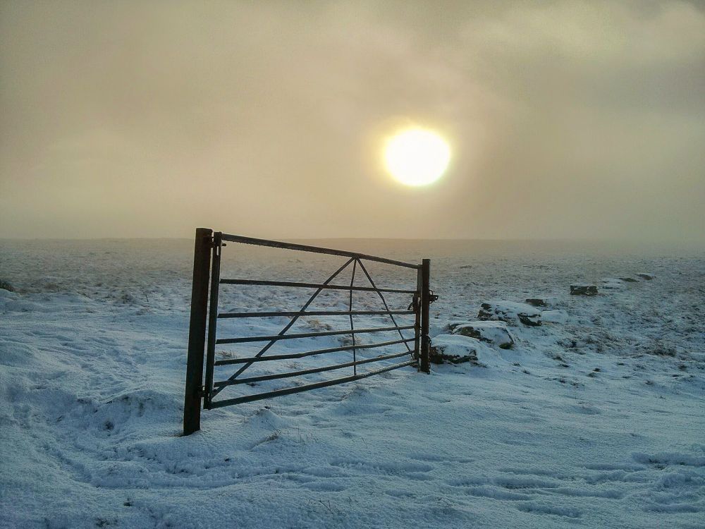 Snow on ground, single gate, freezing fog with sun peeping through the mist above the gate.
