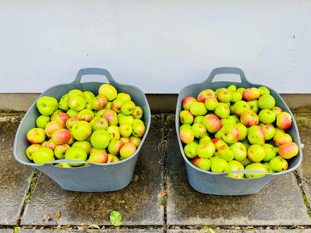 Two large buckets of apples.