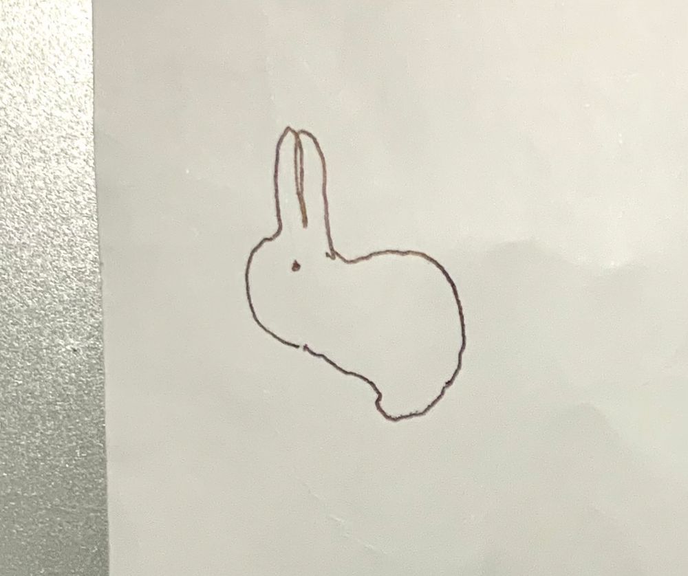 紙にボールペンで描かれた、耳のピンと立ったウサギのらくがき。