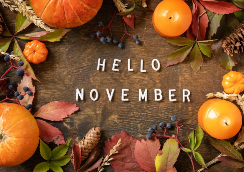 Fall decor pumpkins, berries, leaves, pine cones