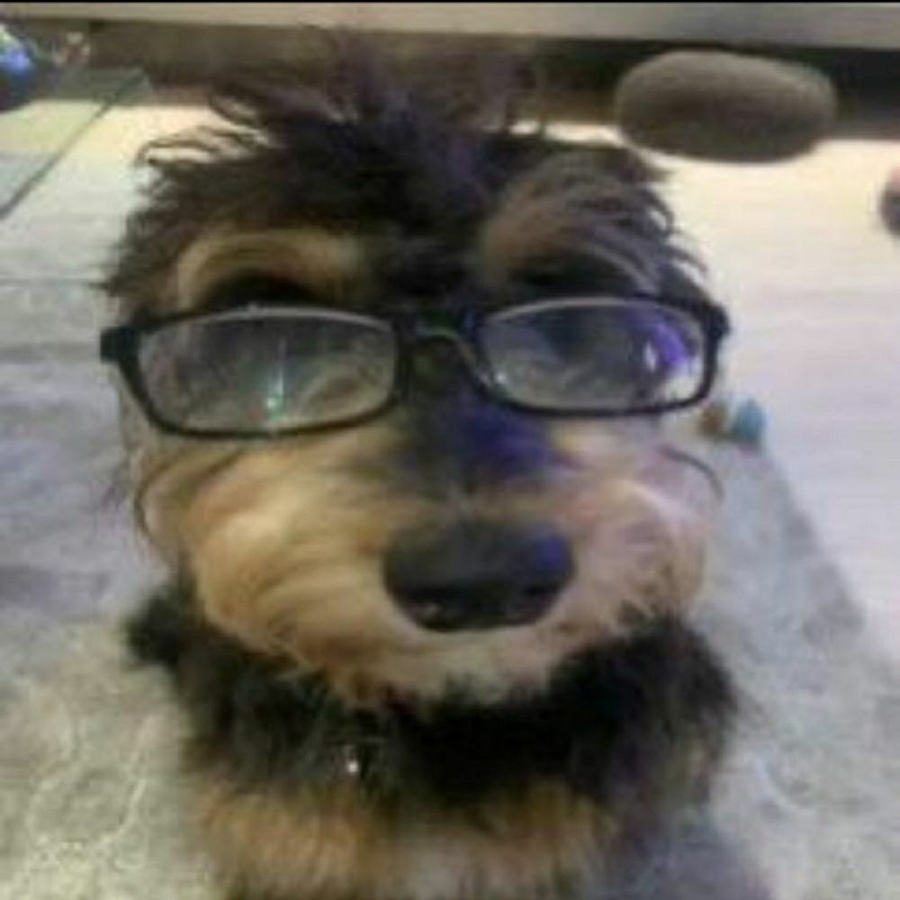 Comment image