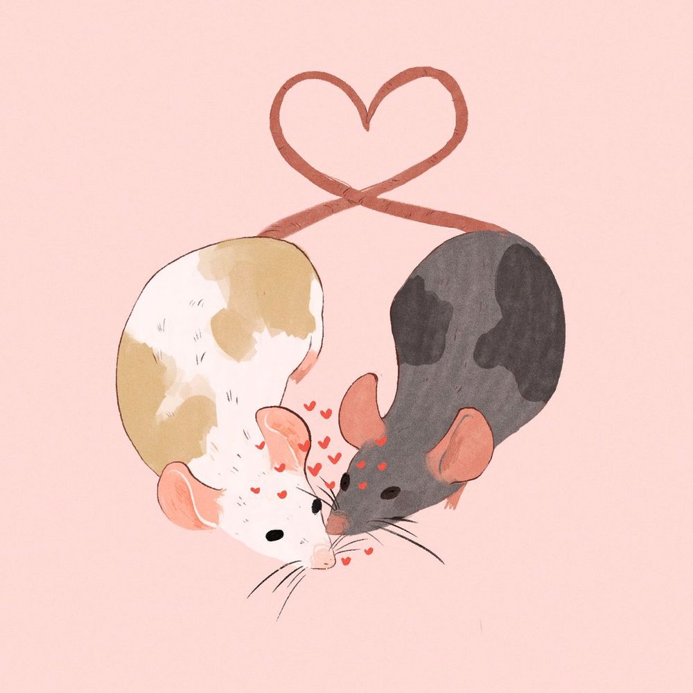 Somos nosotros dos porque somos dos ratas y nos queremos mucho 