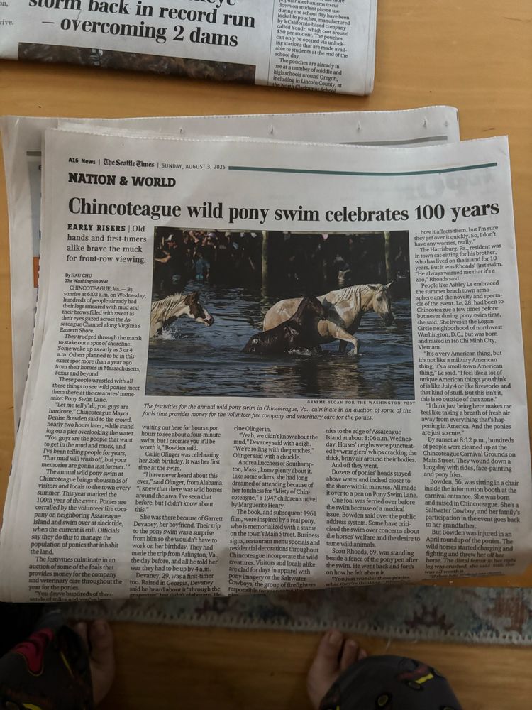 A photo of The Seattle Times and an article about ponies of Chincoteague. My stepdad likes the Sunday paper, pulls out articles of note for the rest of us haha.