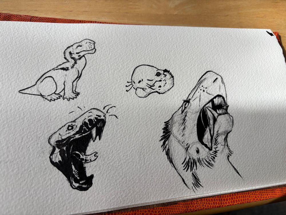 Four doodles of gorgons in various levels of stylization