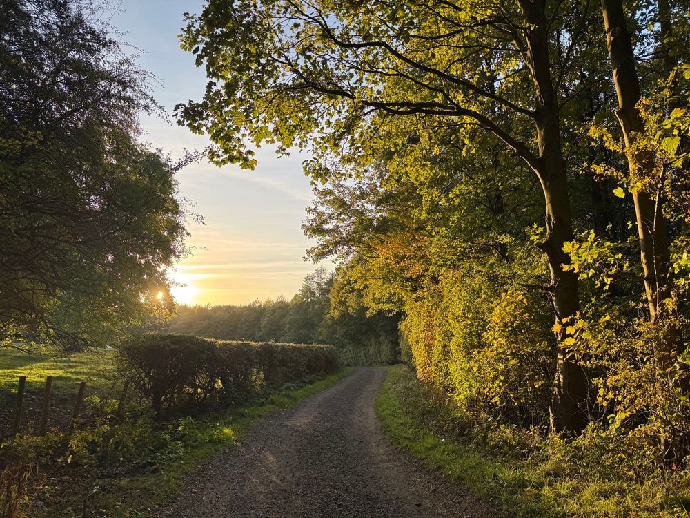 A quiet farm track and autumn colours in the trees, just before sunset.