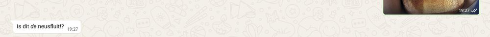 whatsappgesprek: is dit de neusfluit, met het woordje de benadrukt in cursief