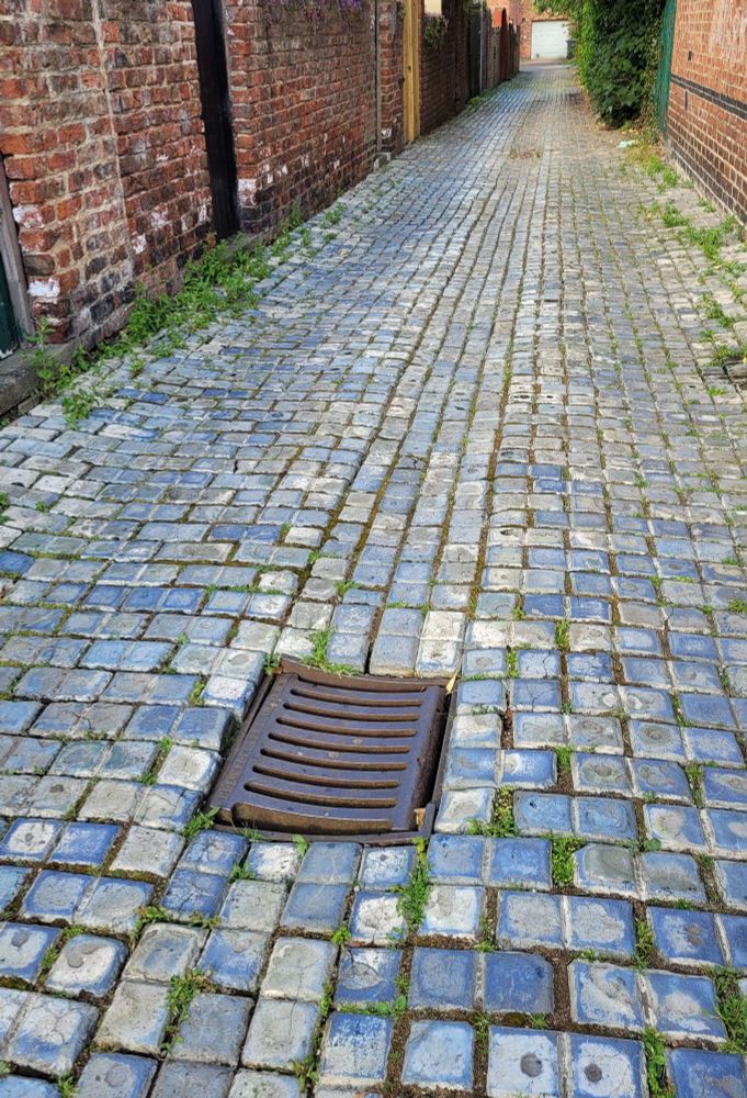 Square Blue scoria bricks in South Bank York (Susan Major)