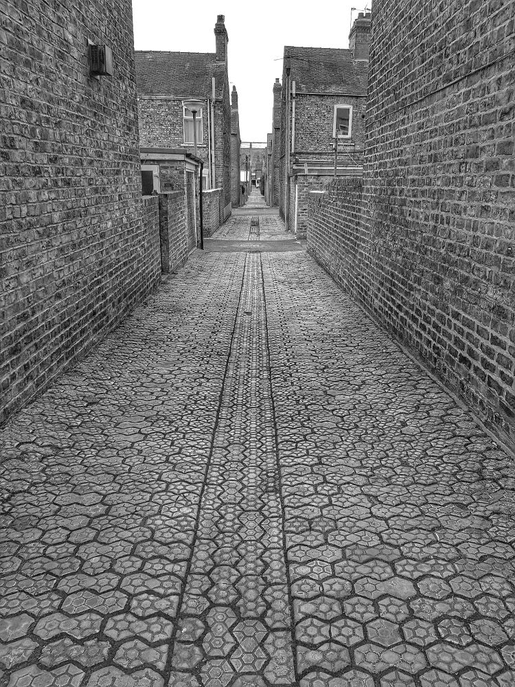 Scoria bricks in South Bank York (Sue Gabbatiss)