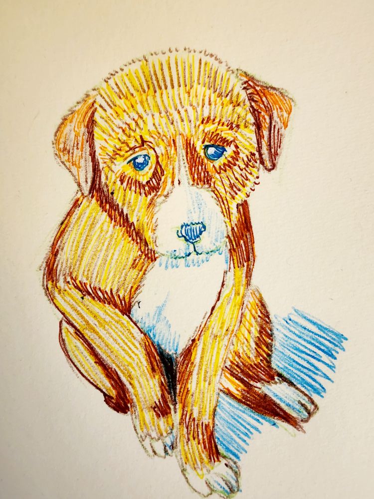 A pen sketch of a small brown puppy. 