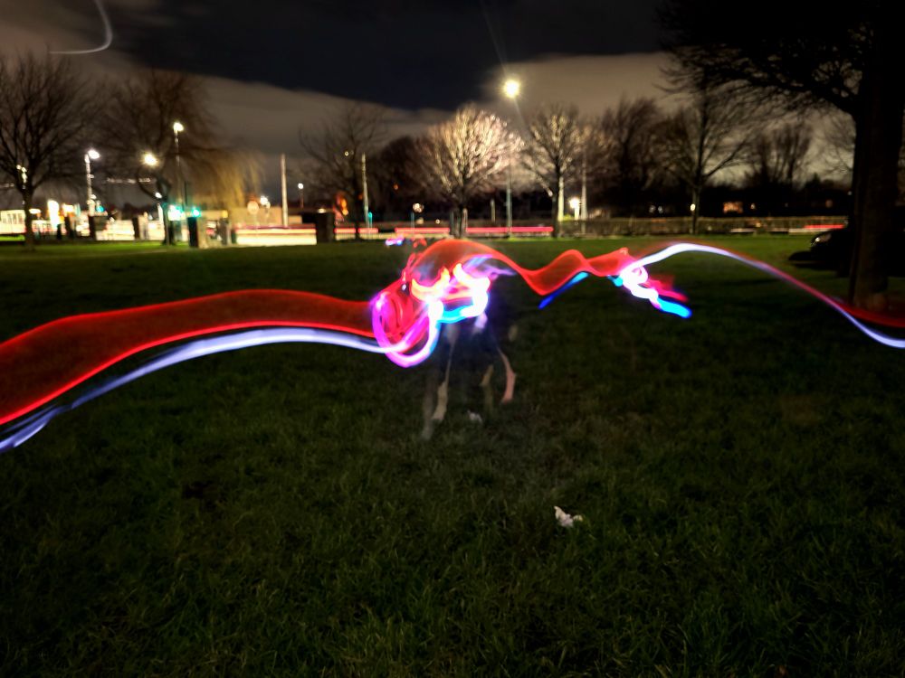Multiple long exposure shots of Bram running around the green wearing lights on his collar