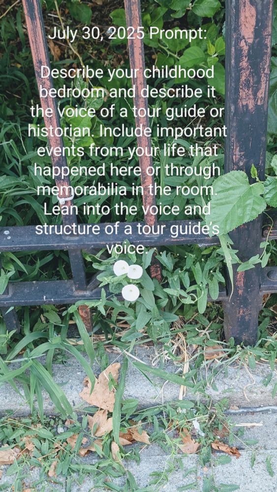 Three tiny white flowers poke through a wrought iron fence, overlaid with the words:

July 30, 2025:

Describe your childhood bedroom and describe it in the voice of a tour guide or historian. Include important events from your life that happened here or through memorabilia in the room. Lean into the voice and structure of a tour guide’s voice.