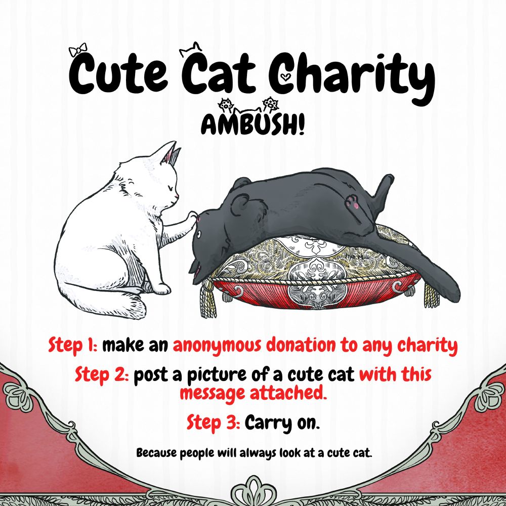  two cats, a white and black cat interacting on an ornate cusion 
Cute Cat Charity 
AMBUSH. 
Step 1: If you see this, make an anonymous donation to any charity
Step 2: post a picture of a cute cat with this message attached. 
Step 3: Carry on. 

Because people will always look at a cute cat. 
