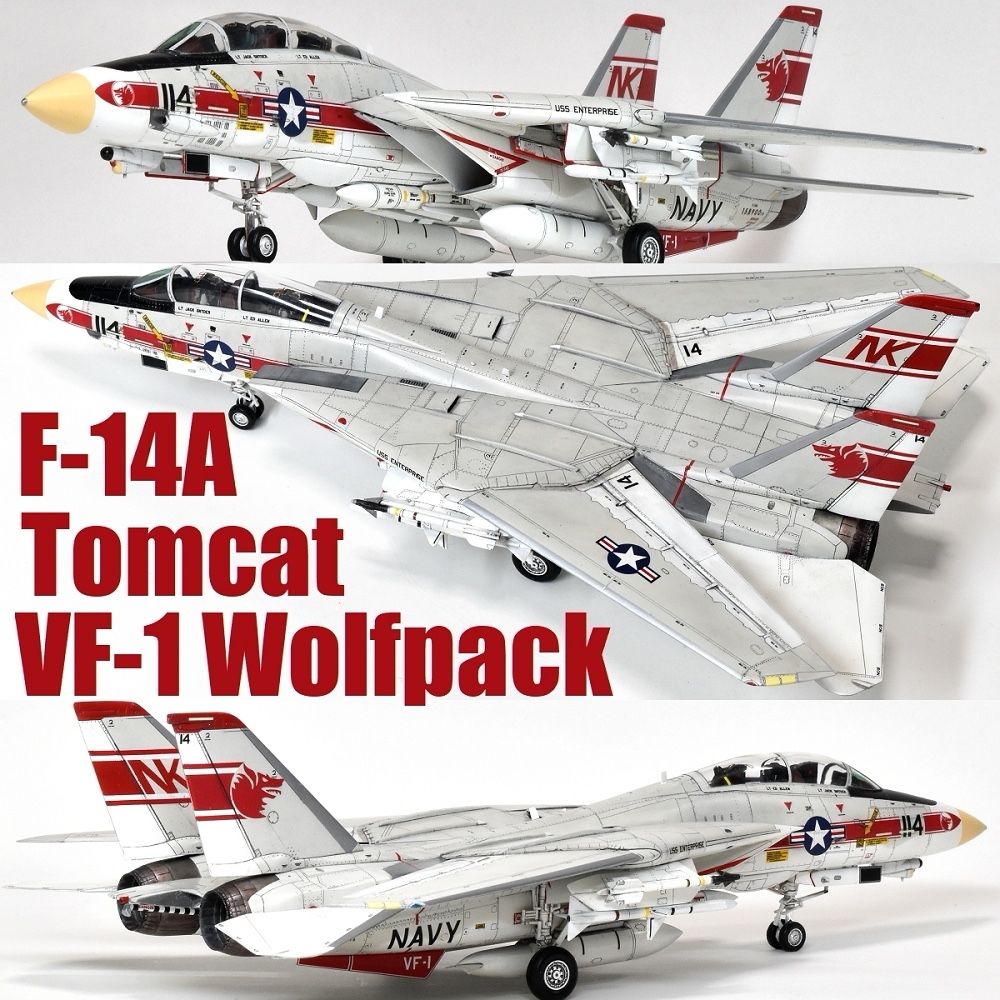 F-14A Tomcat VF-1 Wolfpack ハセガワ Hasegawa 1/72
