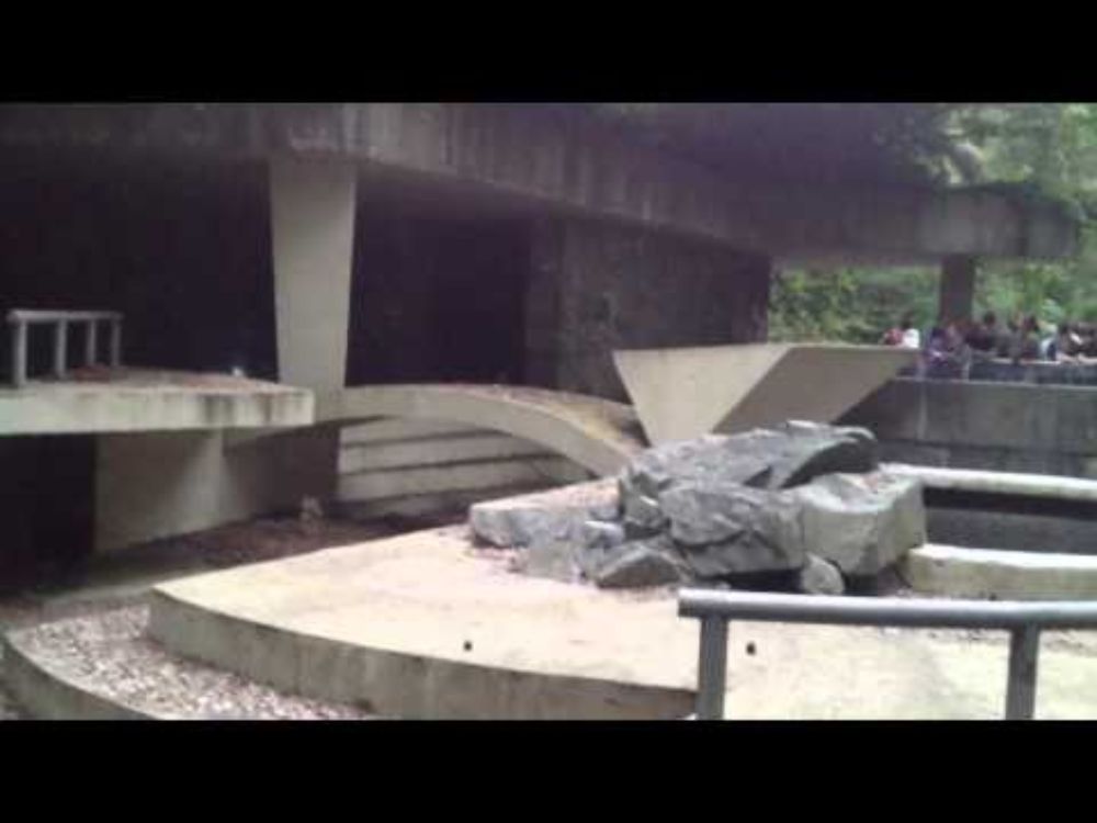 Grouper - Sleep (excerpt) - Live in an abandoned polar bear enclosure (Pt.I)