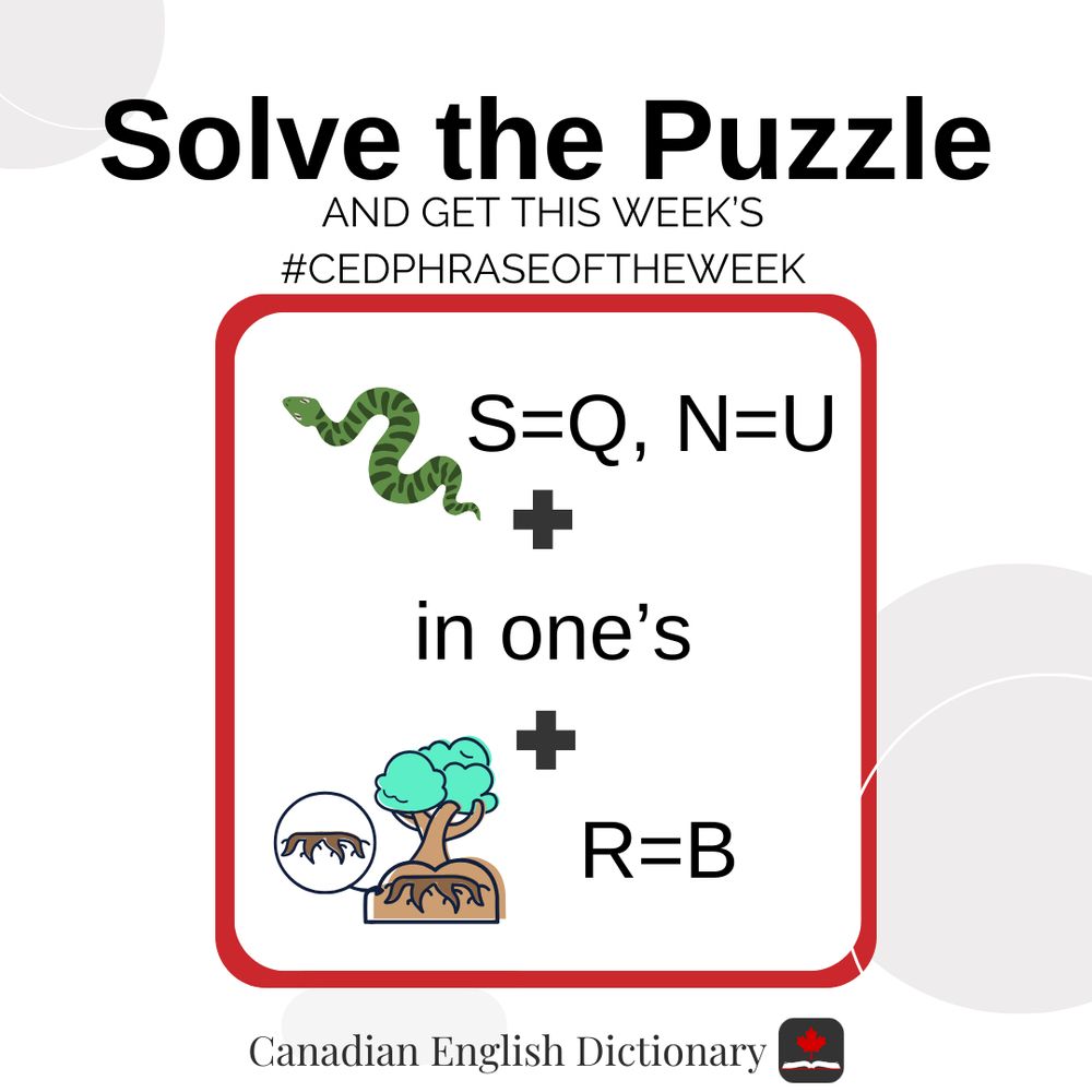 A rebus puzzle: Snake, S=Q, N=U + in one’s + roots, R=B.
