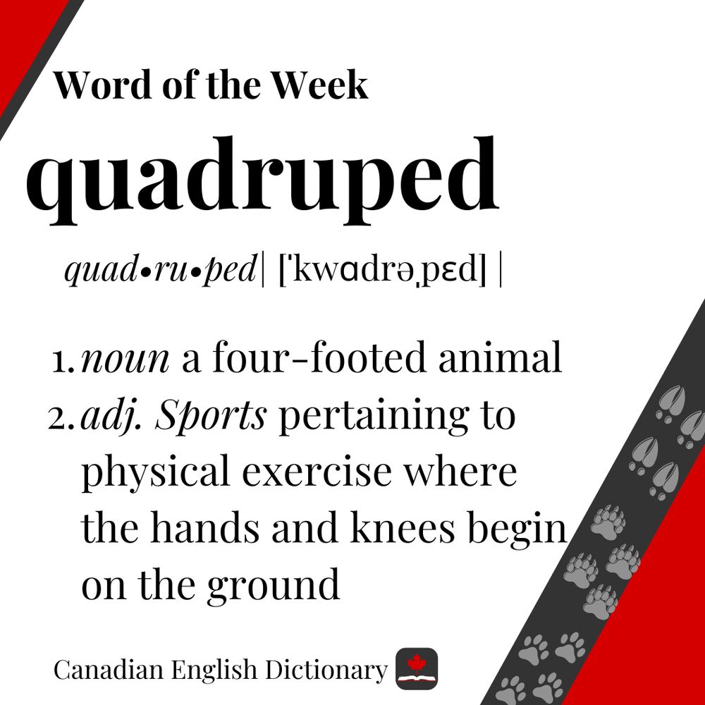 Definition of quadruped on a white, grey, and red background.  Graphics of animal prints in the bottom right corner. 
