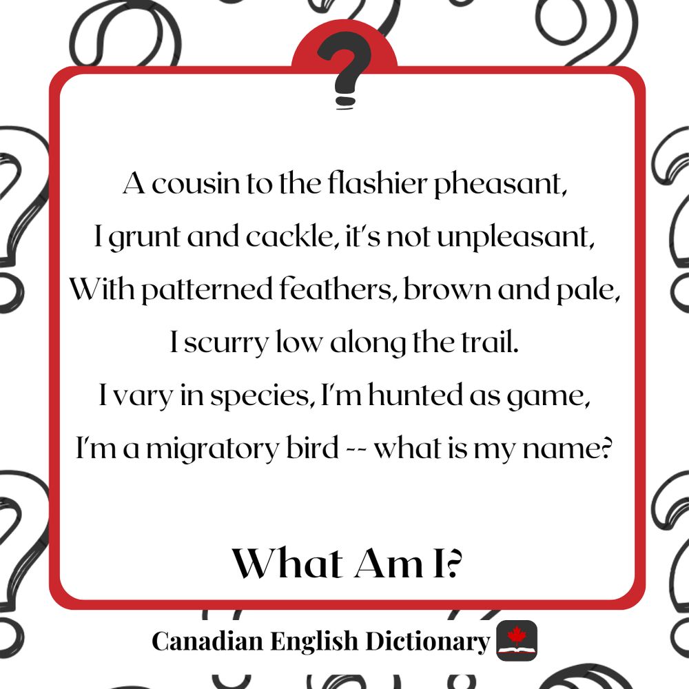 A riddle: A cousin to the flashier pheasant,
I grunt and cackle, it's not unpleasant,
With patterned feathers, brown and pale,
I scurry low along the trail.
I vary in species, I'm hunted as game,
I'm a migratory bird -- what is my name?