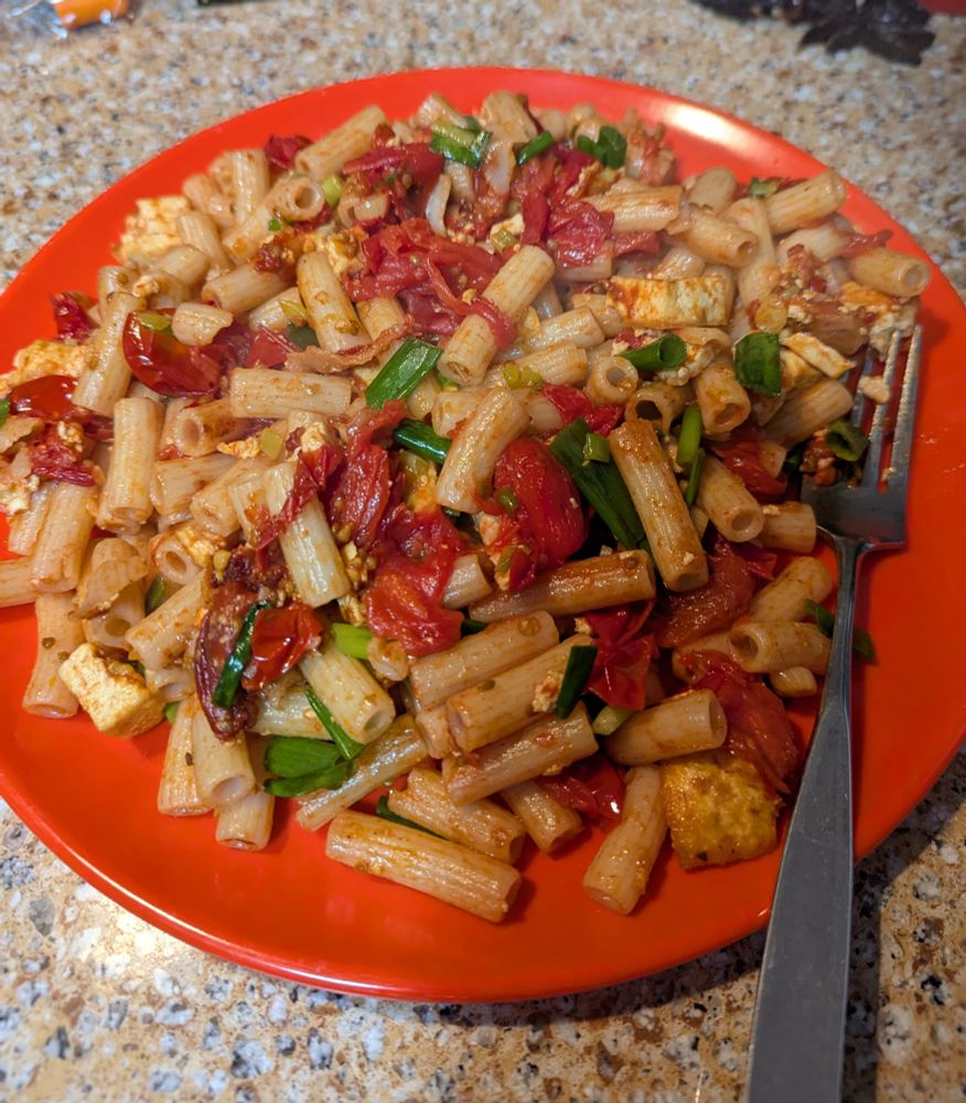 A plate of penne pasta with crushed grape tomatoes, scallions, and some tofu trying very hard to imitate cheese 