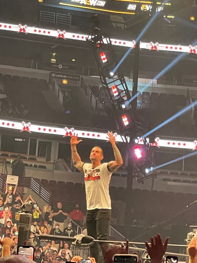 Photo of wrestler CM Punk standing on the turnbuckle of the wrestling ring, his arms raised above his head