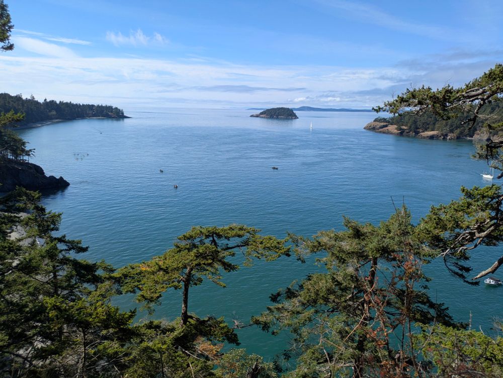 A view across a bay with fir trees in the foreground & bluffs & a small island in the distance. 