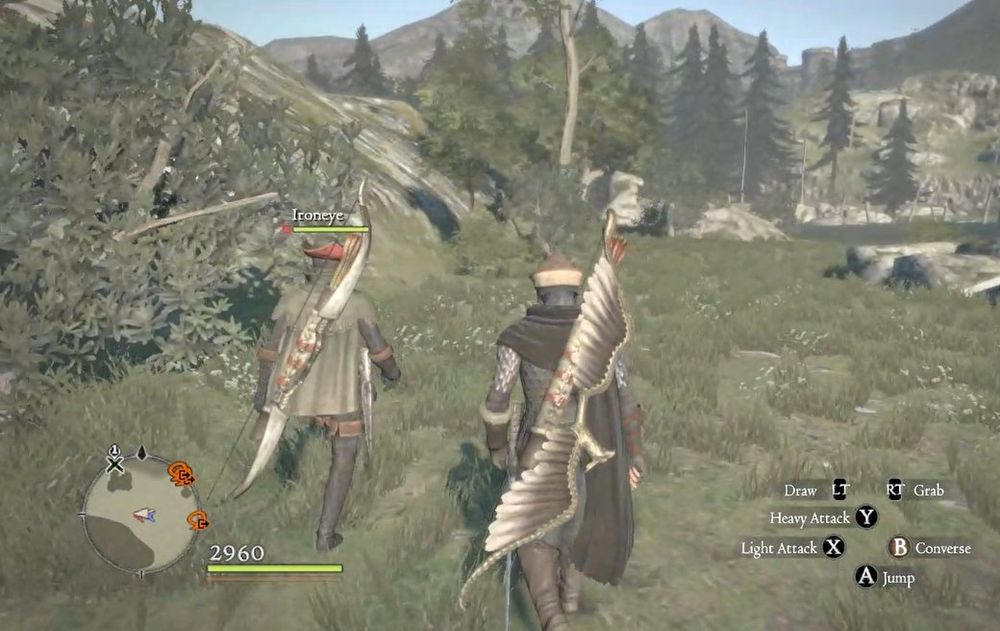 Wylder is an Arisen whose vocation is an assassin, while Ironeye is the main pawn whose vocation is ranger.