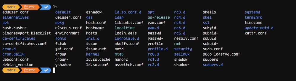 Captura de terminal Bash personalizada con oh-my-posh