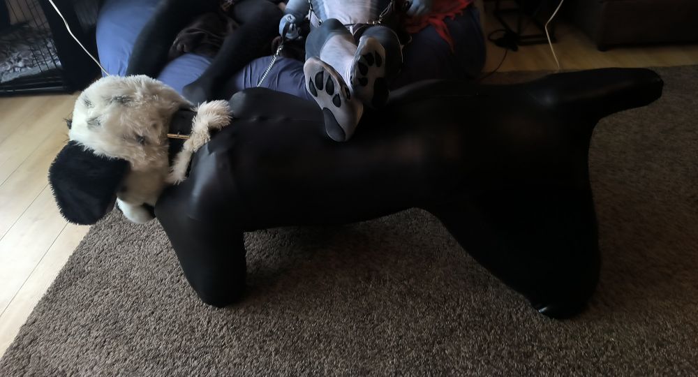 First time in a bitch suit.  I was being a very good dog. 