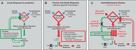 Neurodegenerative diseases have genetic hallmarks of autoinflammatory disease