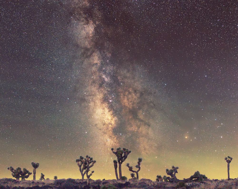 Photo of the Milky Way above a stand of Joshua Trees in Death Valley