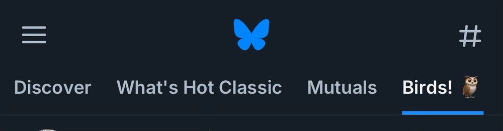 image of Bluesky’s iOS header showing the feeds “Discover” “What’s Hot Classic” “Mutuals” and “Birds!”