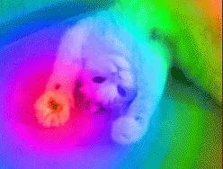 Comment image