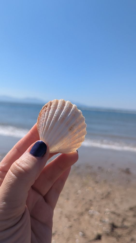 Picture of Lukalock's hand with dark blue painted nails, holding a sea shell. In the background is the sand and water of the beach shore.