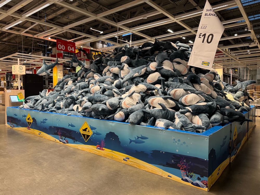 Quite simply the largest number of Blåhaj I have seen in one place.