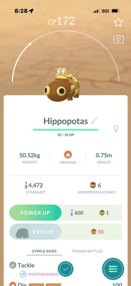 It’s a hippo for Tara 