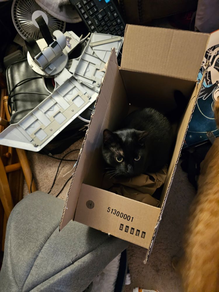 Why auntie? Why bap?