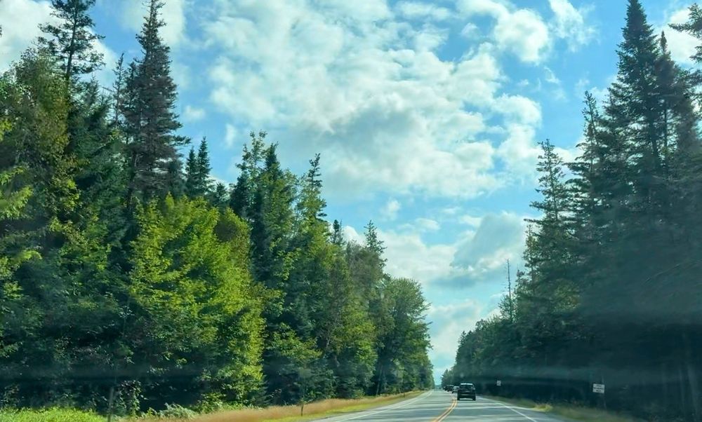 Photo of a beautiful blue sky, with fluffy white clouds and big green pine trees, while on a drive through New Hampshire.