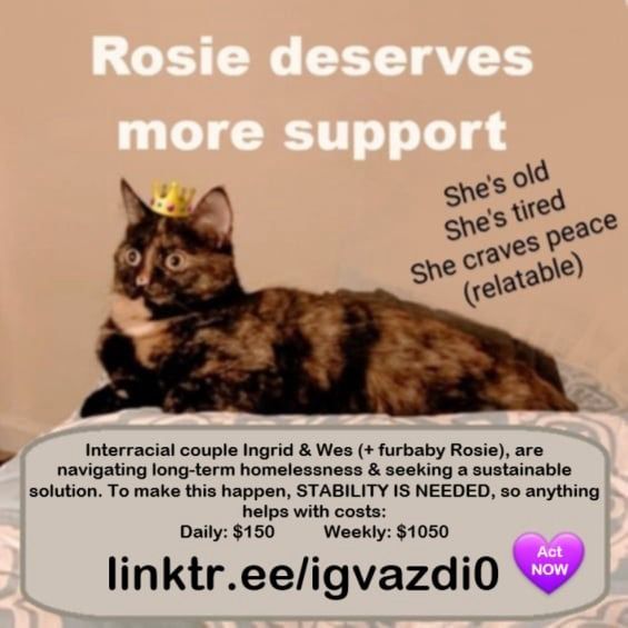 Graphic alerts to a mutual aid need: The background is a photo of a tortoiseshell cat on a bedspread, looking surprised. She is wearing a superimposed emoji crown. The title in bold white letters says 'Rosie deserves more support' then in smaller black font 'She's old. She's tired. She craves peace (relatable)'. A text box informs you: Interracial couple Ingrid & Wes (+ furbaby Rosie), are navigating long-term homelessness & seeking a sustainable solution. To make this happen, STABILITY IS NEEDED, so anything helps with costs: Daily $150, Weekly $1050', and a purple heart emoji holds little white words that say 'Act NOW'. You are directed to linktr.ee/igvazdi0