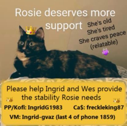 Graphic alerts to a mutual aid need: a photo of a surprised looking older tortoiseshell cat is lying on a patterned yellow bedspread. She is wearing an emoji crown. The title says 'Rosie deserves more support. She's old. She's tired. She craves peace (relatable).' A small purple emoji heart is overlaid with text that says 'Act NOW'. In a yellow text box at the bottom, black text says 'Please help Ingrid and Wes provide the stability Rosie needs'. You are directed to:
PP/Kofi: IngridG1983 Ca$: freckleking87
VM: Ingrid-gvaz (last 4 of phone 1859)