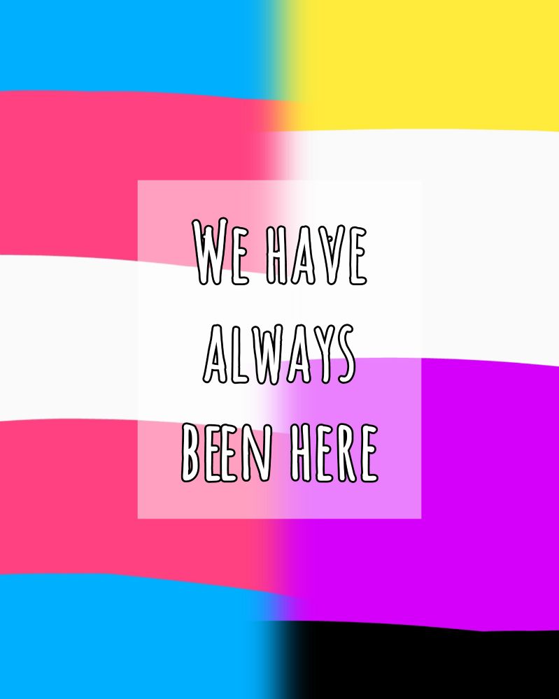 Quickly and loosely digitally drawn trans and non-binary flags, blended together down the middle. White text with a black border and translucent white background says 'we have always been here'