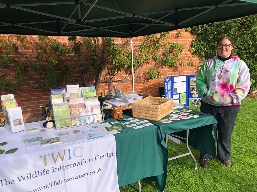 Holly with TWIC’s stall at Apple Day. Photo by Natalie Harmsworth.