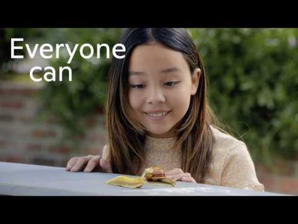 Curious Questions? Get fun facts with Microsoft Copilot