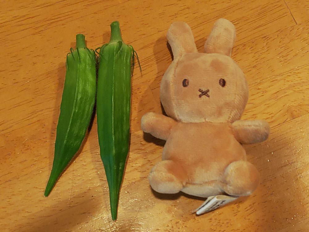 机に置かれた２本のオクラと大きさを比べられるうさぎのぬいぐるみ。