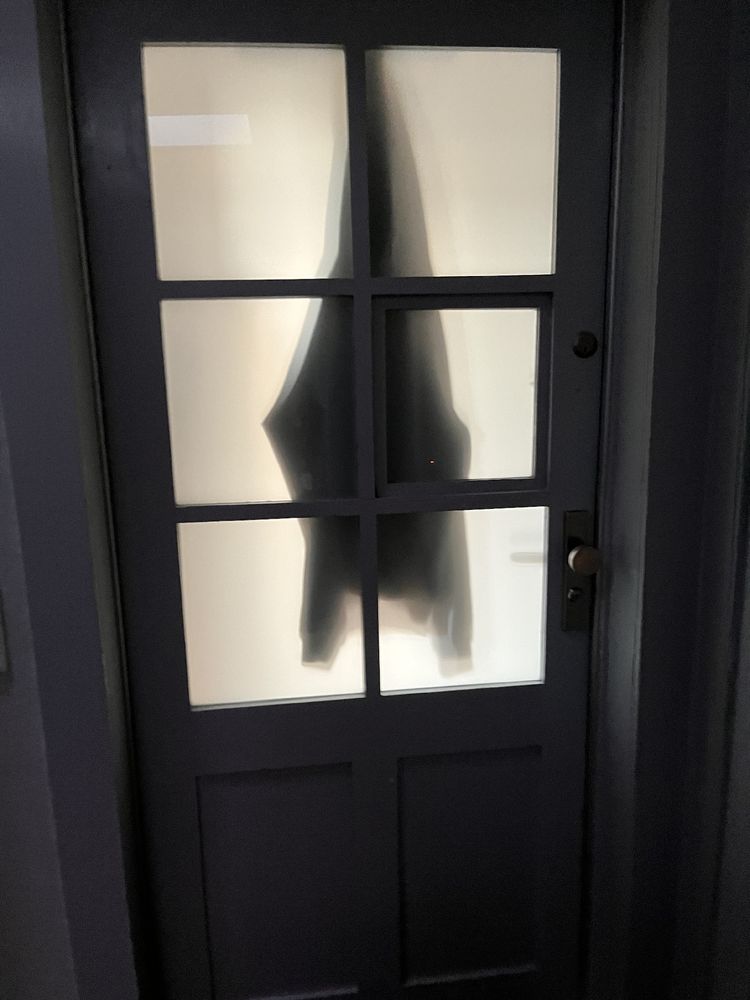 Eine Form hinter einer Milchglas-Tür, die aussieht wie eine große Fledermaus 